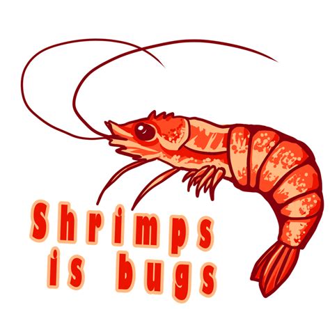 Dec 26, 2023 · The "Shrimps is Bugs" Graphic T-Shirt is a delightful conversation starter, inviting curious minds to explore the unexpected connections found in the natural world. Whether you're a biology enthusiast, a lover of humor, or simply someone who appreciates a unique twist on conventional ideas, this t-shirt is sure to bring a smile to your face. 